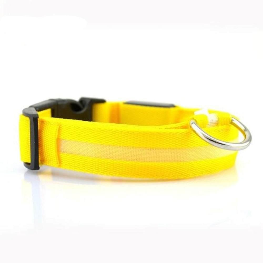 2 PCS Set Nylon LED Dog Collar - Majpet