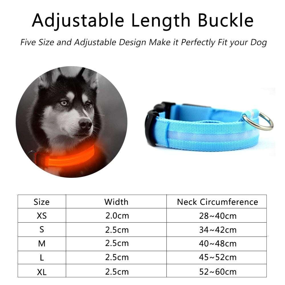 2 PCS Set Nylon LED Dog Collar - Majpet